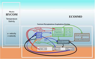 Environmental Change at Deep-Sea Sponge Habitats Over the Last Half Century: A Model Hindcast Study for the Age of Anthropogenic Climate Change